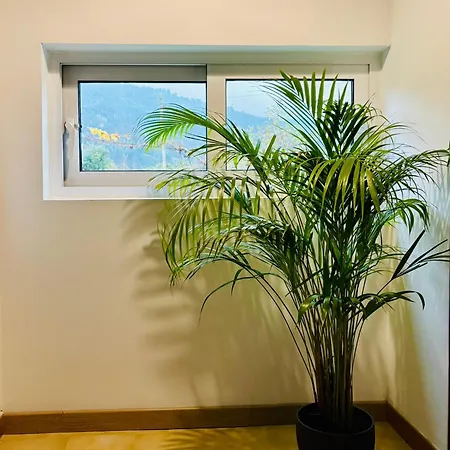 Dom wakacyjny Casa Da Laurinha