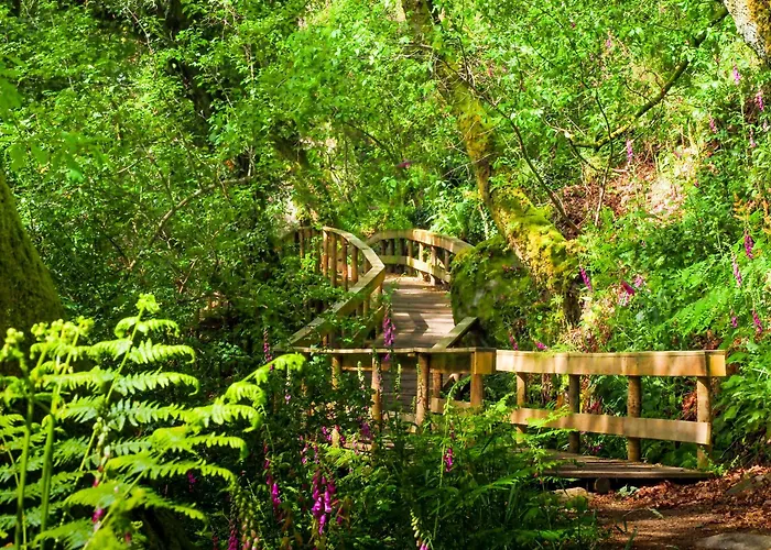 Vakantiehuis Casa Da Laurinha