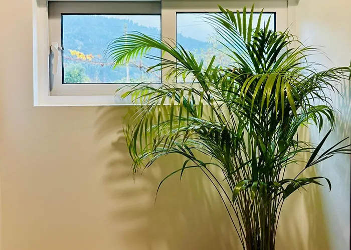 別荘 Casa Da Laurinha